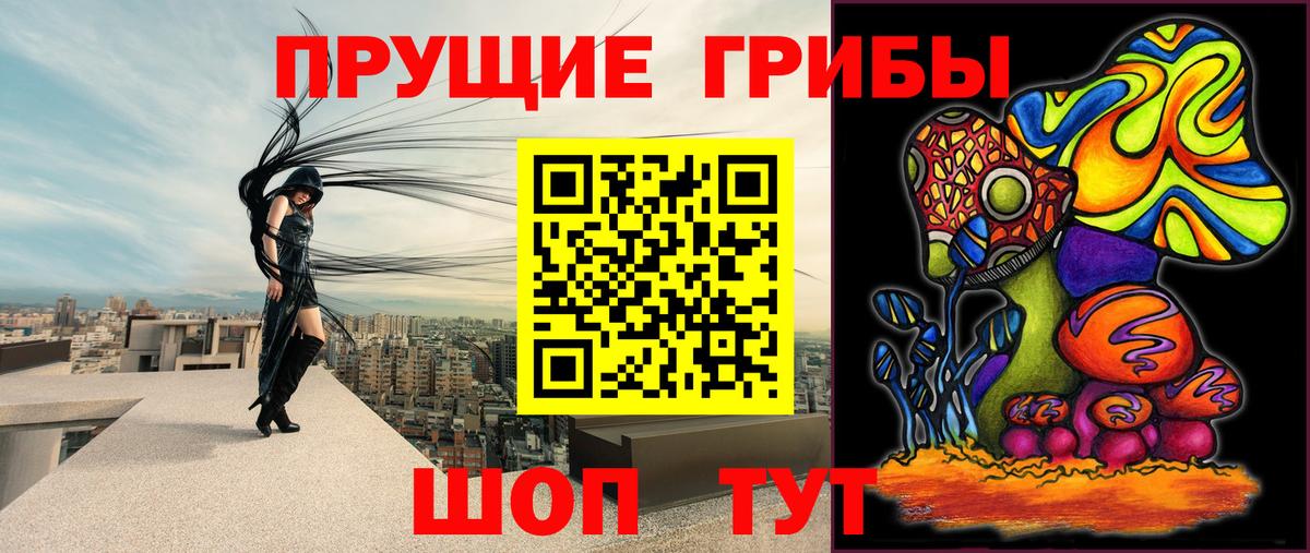 Псилоцибиновые грибы GOLDEN TEACHER  Вход с VPN  купить наркоту  Владивосток 