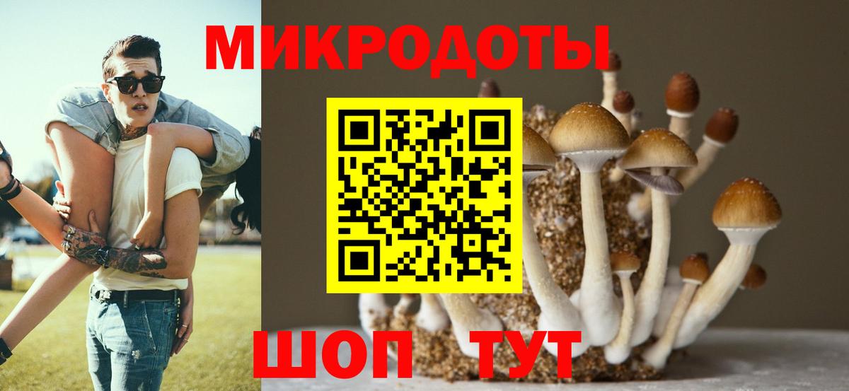 Галлюциногенные грибы Magic Shrooms Владивосток